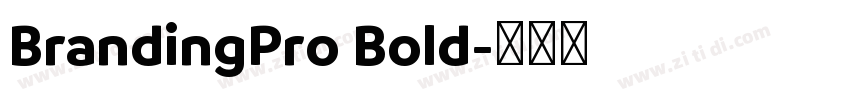 BrandingPro Bold字体转换